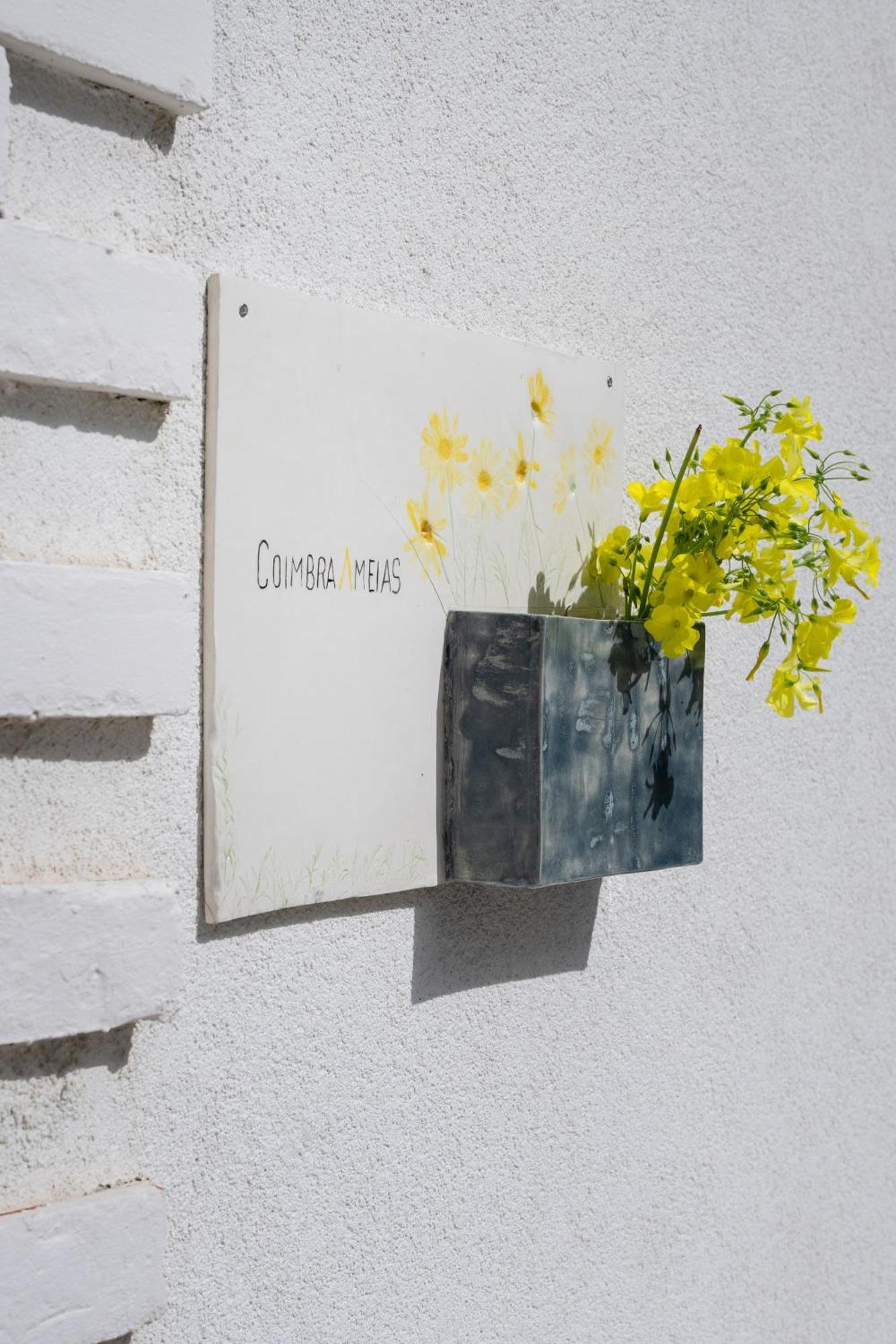 Coimbraameias Exteriér fotografie
