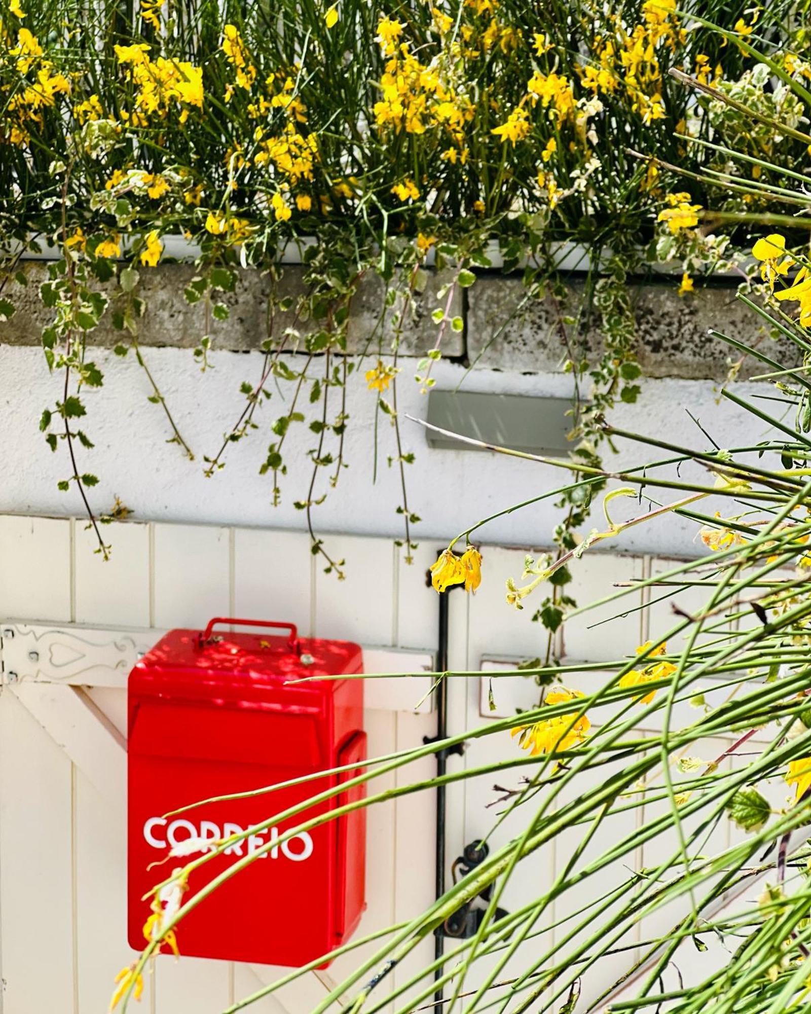 Coimbraameias Exteriér fotografie